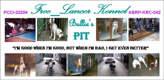 bullie_s_pit.jpg
