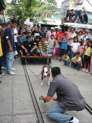 pangasinan.jpg