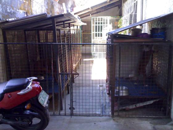 kennel01may07.jpg